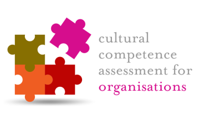 Assess your organisation’s cultural competence